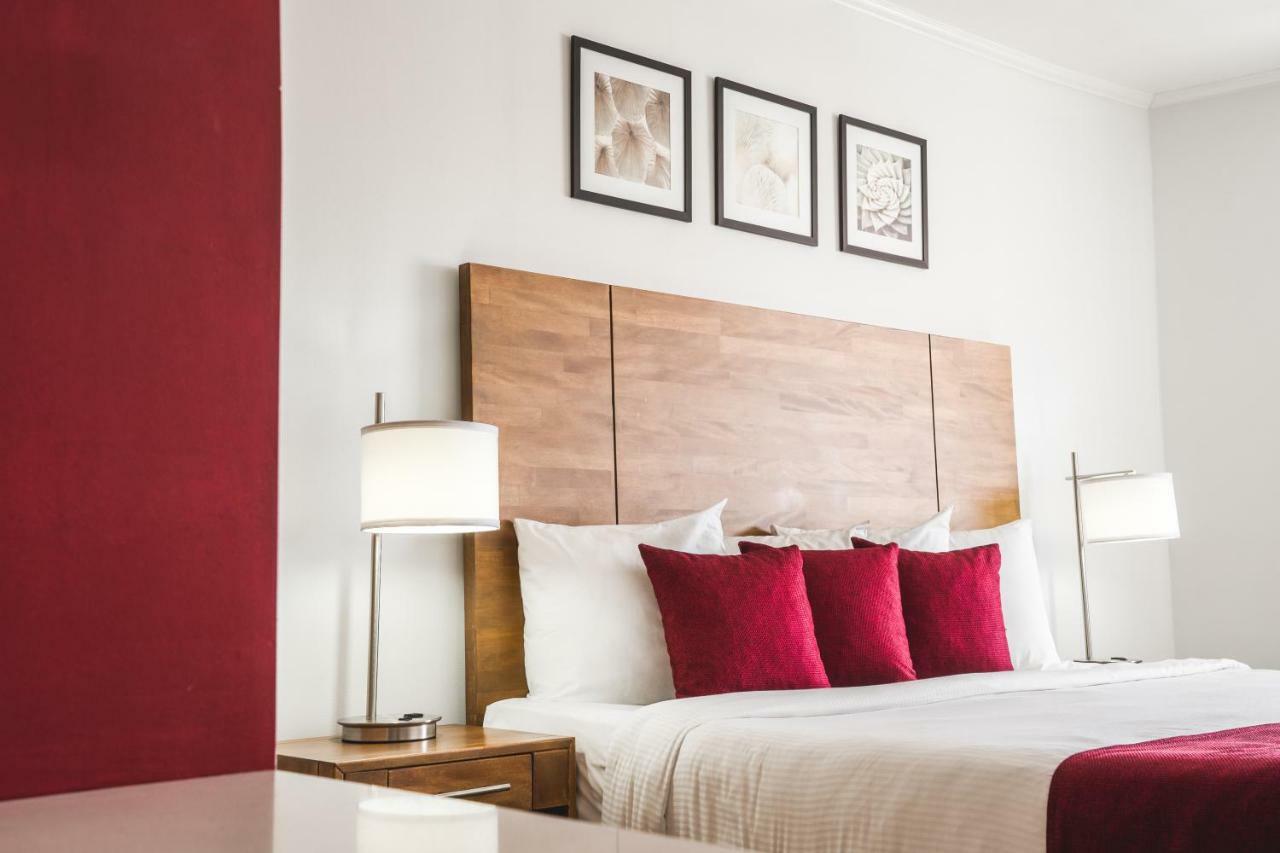 City Suites & Beach Hotel 빌렘스타트 외부 사진