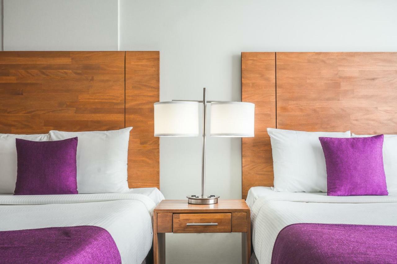City Suites & Beach Hotel 빌렘스타트 외부 사진